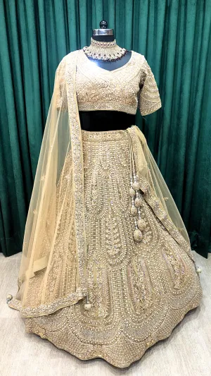 Beige Net Lehenga With Dori and Moti